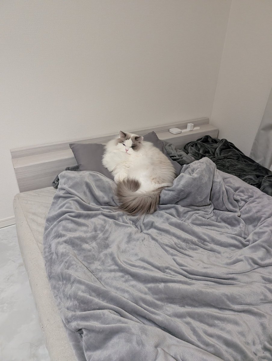 そこで寝るのはもう人じゃん🤣