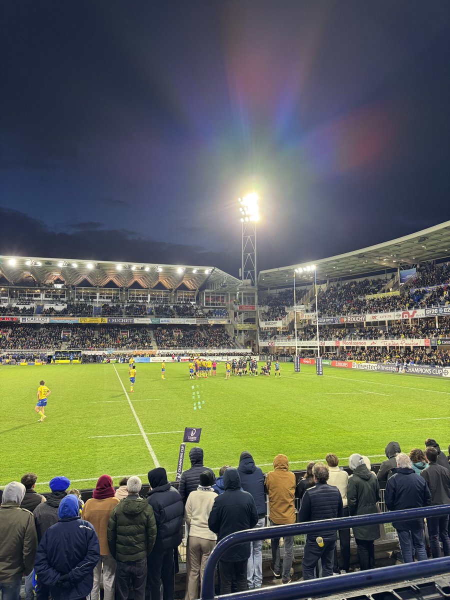 Natasha Brodie tweet media