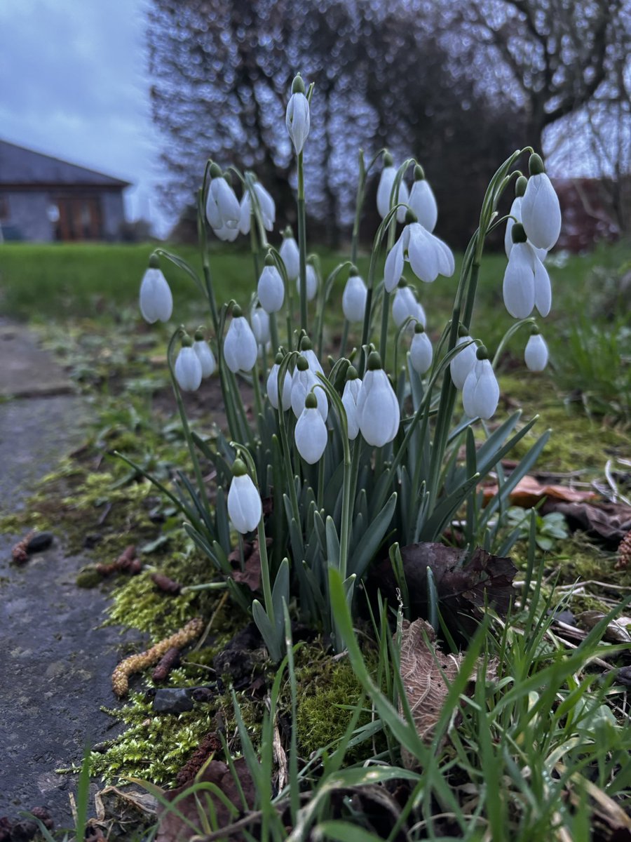 Cathal Lee tweet media