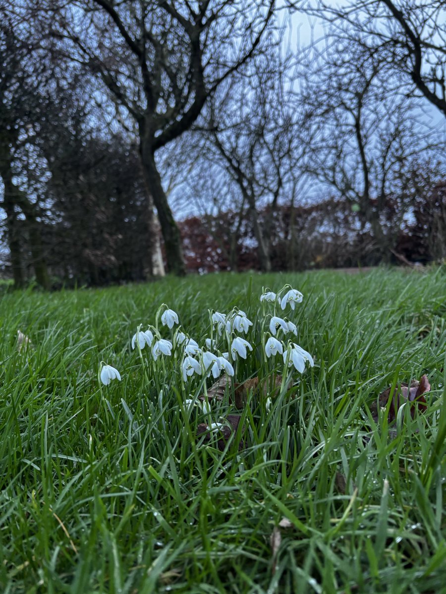 Cathal Lee tweet media