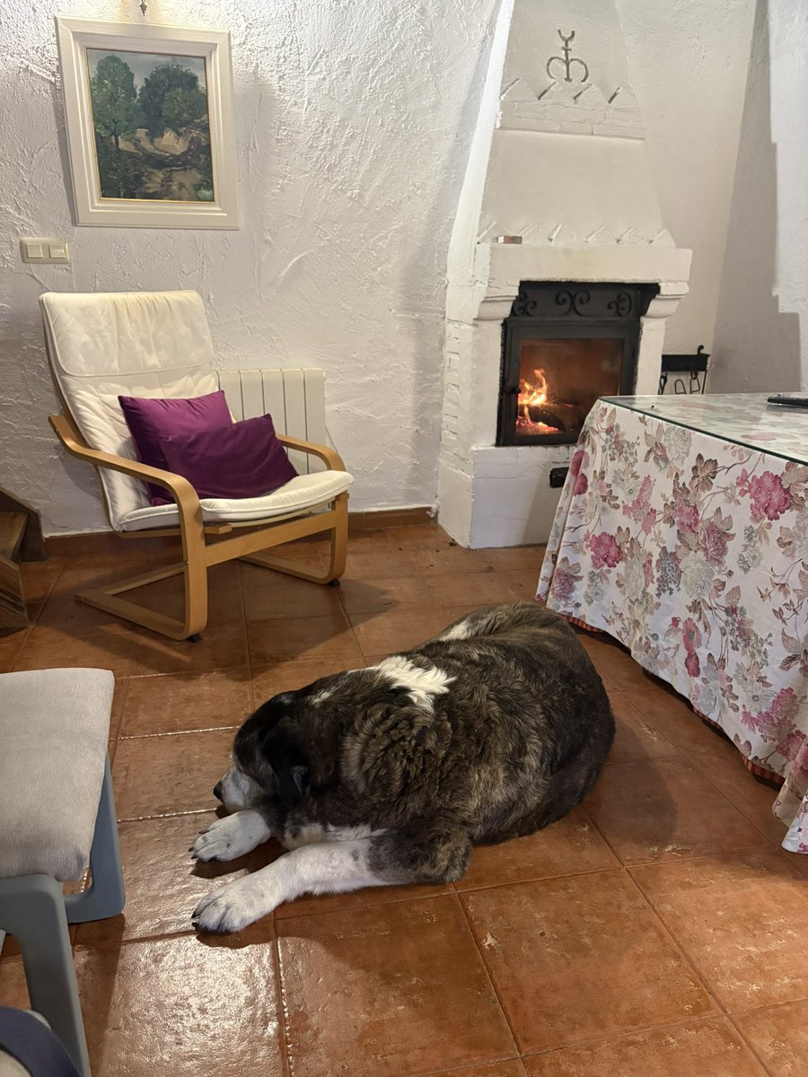 LaCaseriaCRural's tweet image. Se nota que somos amantes de los animales, ¿no? #petfriendly Admitimos mascotas en nuestra casa rural.