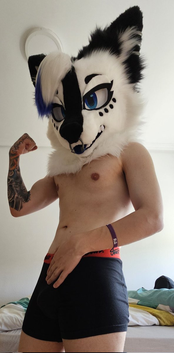 Kai 🔜 IBERCON tweet media