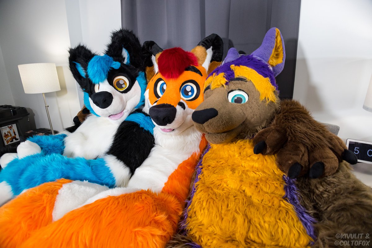 Colto Fox tweet media