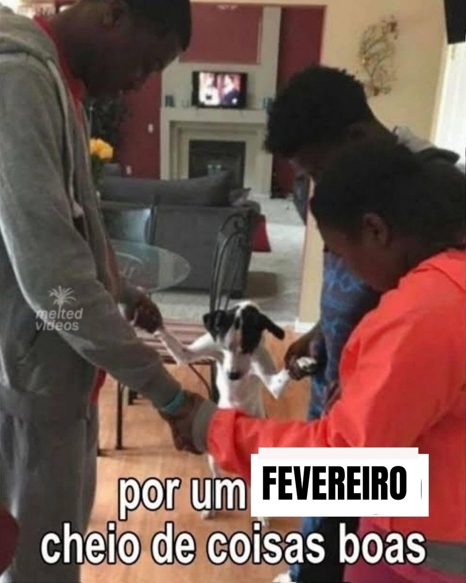 mel (@meltedvideos) on Twitter photo 