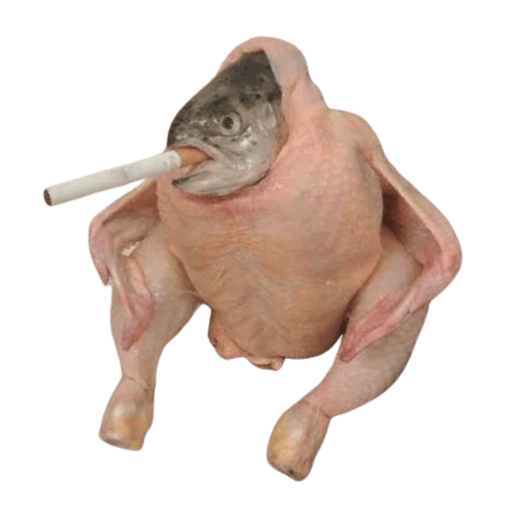 橙子🍊（链上判官） tweet media