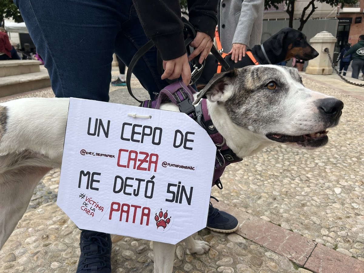 Víctor Egío tweet media