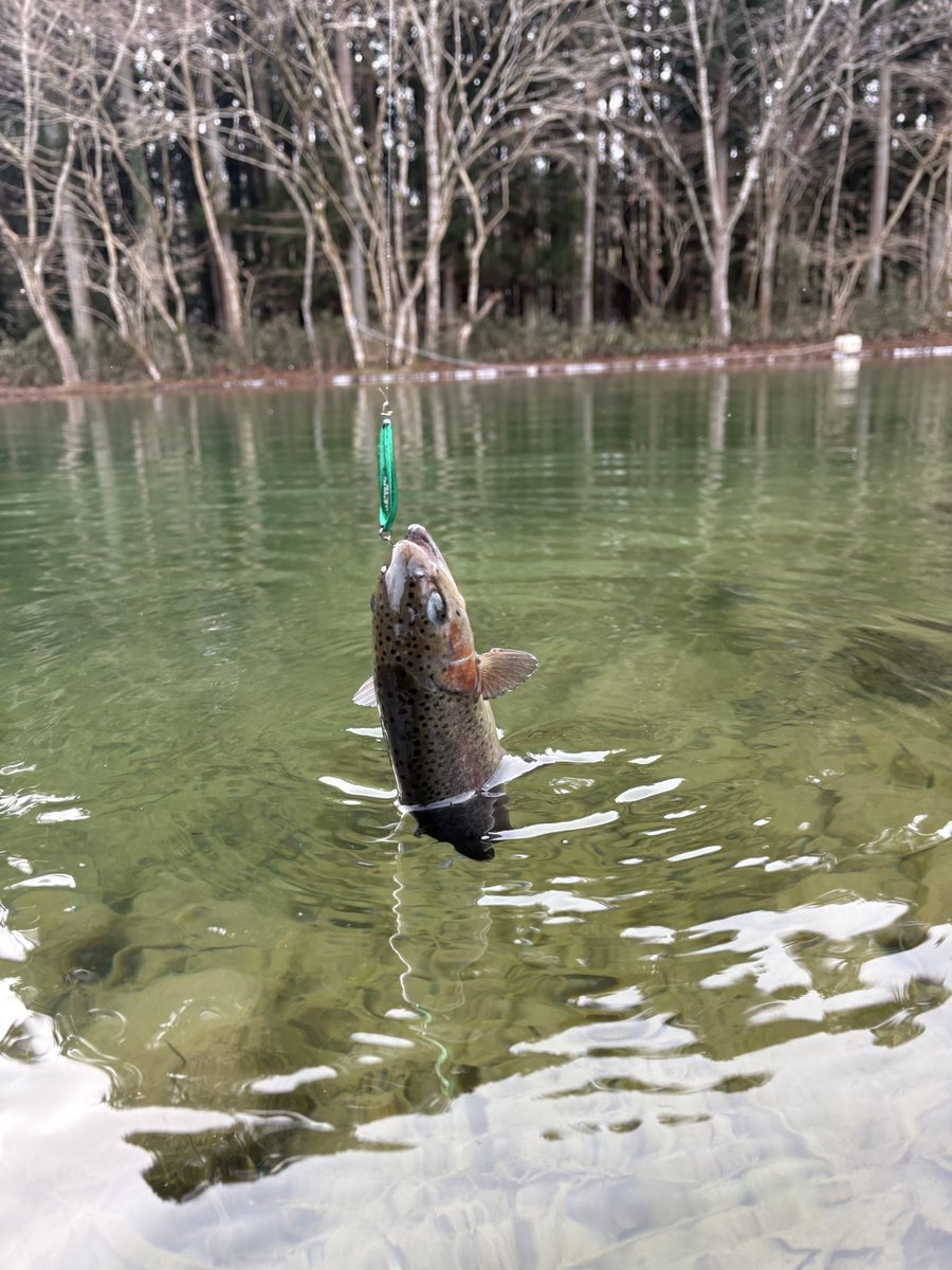 4FXncE36RkzhJTu's tweet photo. 約1ヶ月ぶりの釣り🤭
【秋保フィッシングエリア】さんへ🎣
お昼過ぎからの短時間✨
水が超クリアで底まで丸見えでした🤩
#カルテラス
#パラトtype HV3.0g
秋保FAさんはグリーンメタリック系が釣れる(私の勝手なイメージ🤭)
必ず投げるこのカラー💚
間違いありません👍
いい感じに釣れてくれました🫶 https://t.co/2isdNbDxqR