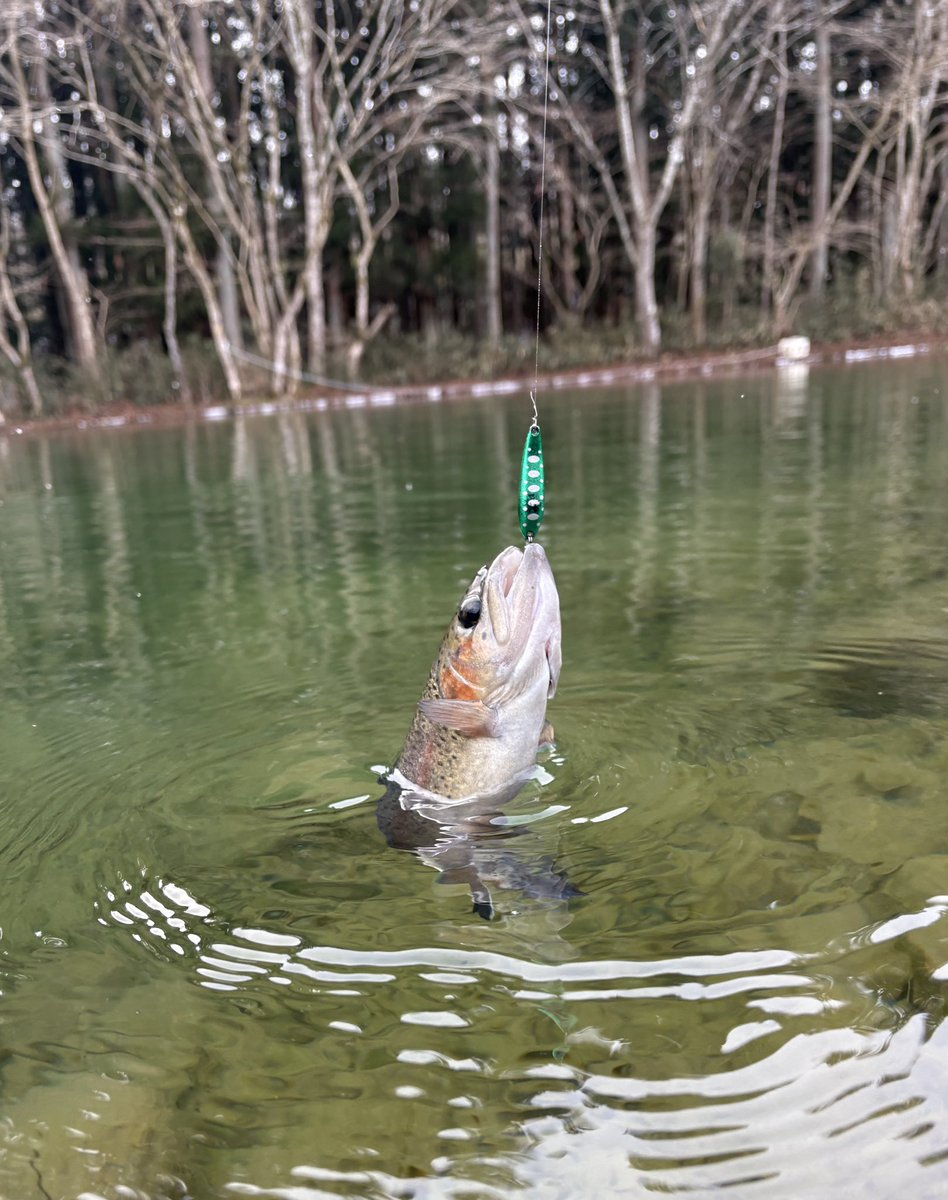 4FXncE36RkzhJTu's tweet photo. 約1ヶ月ぶりの釣り🤭
【秋保フィッシングエリア】さんへ🎣
お昼過ぎからの短時間✨
水が超クリアで底まで丸見えでした🤩
#カルテラス
#パラトtype HV3.0g
秋保FAさんはグリーンメタリック系が釣れる(私の勝手なイメージ🤭)
必ず投げるこのカラー💚
間違いありません👍
いい感じに釣れてくれました🫶 https://t.co/2isdNbDxqR