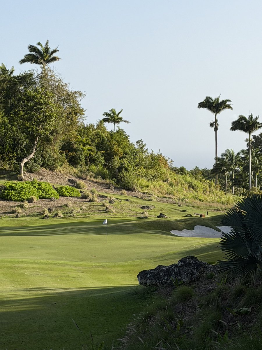 Daniel Grieve tweet media