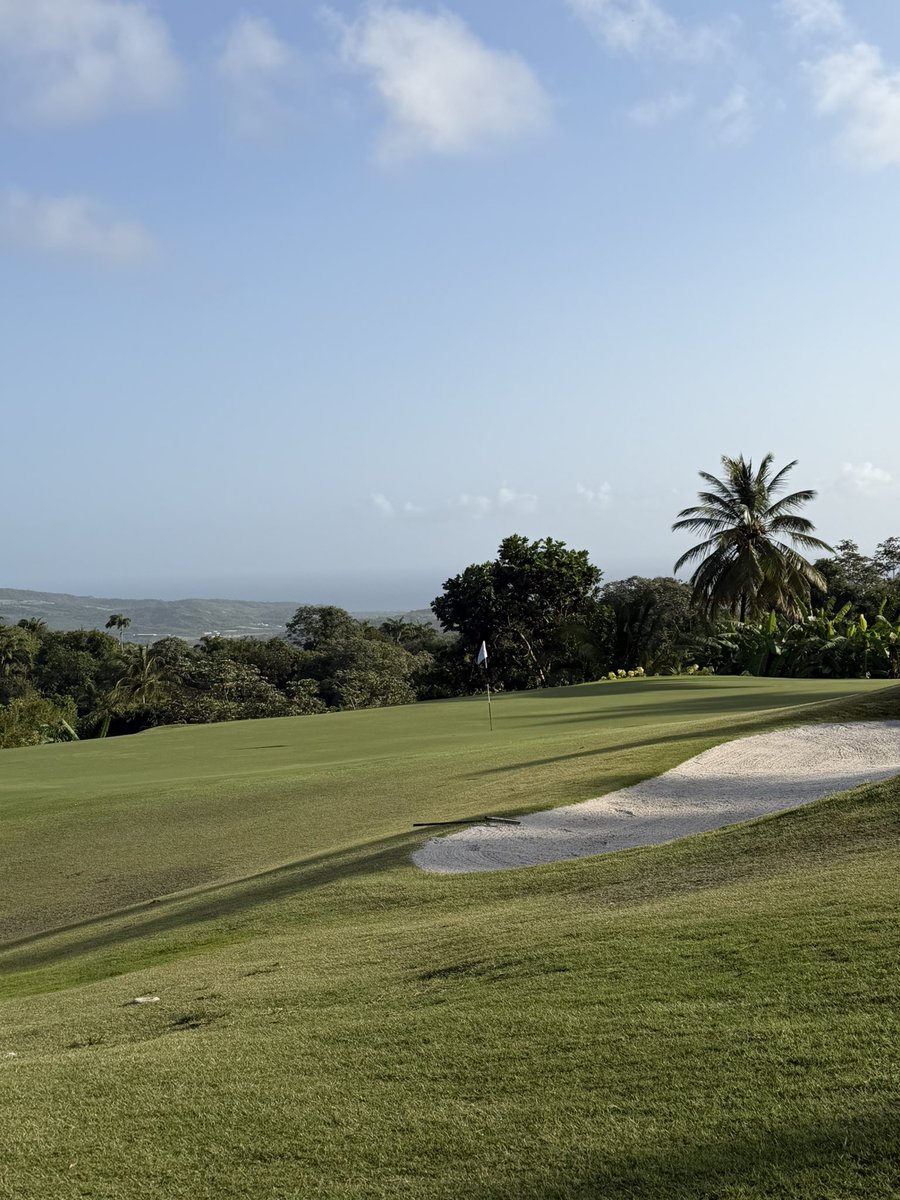 Daniel Grieve tweet media