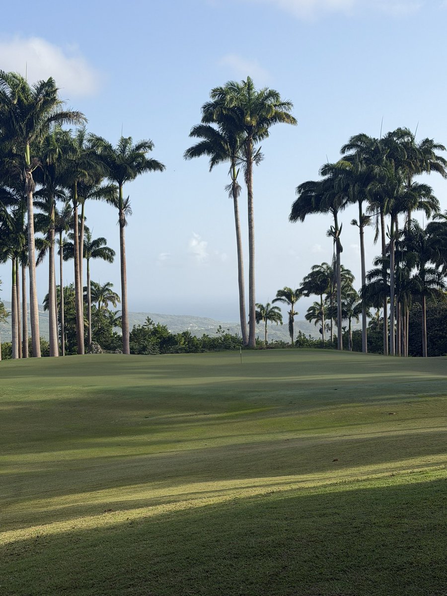 Daniel Grieve tweet media