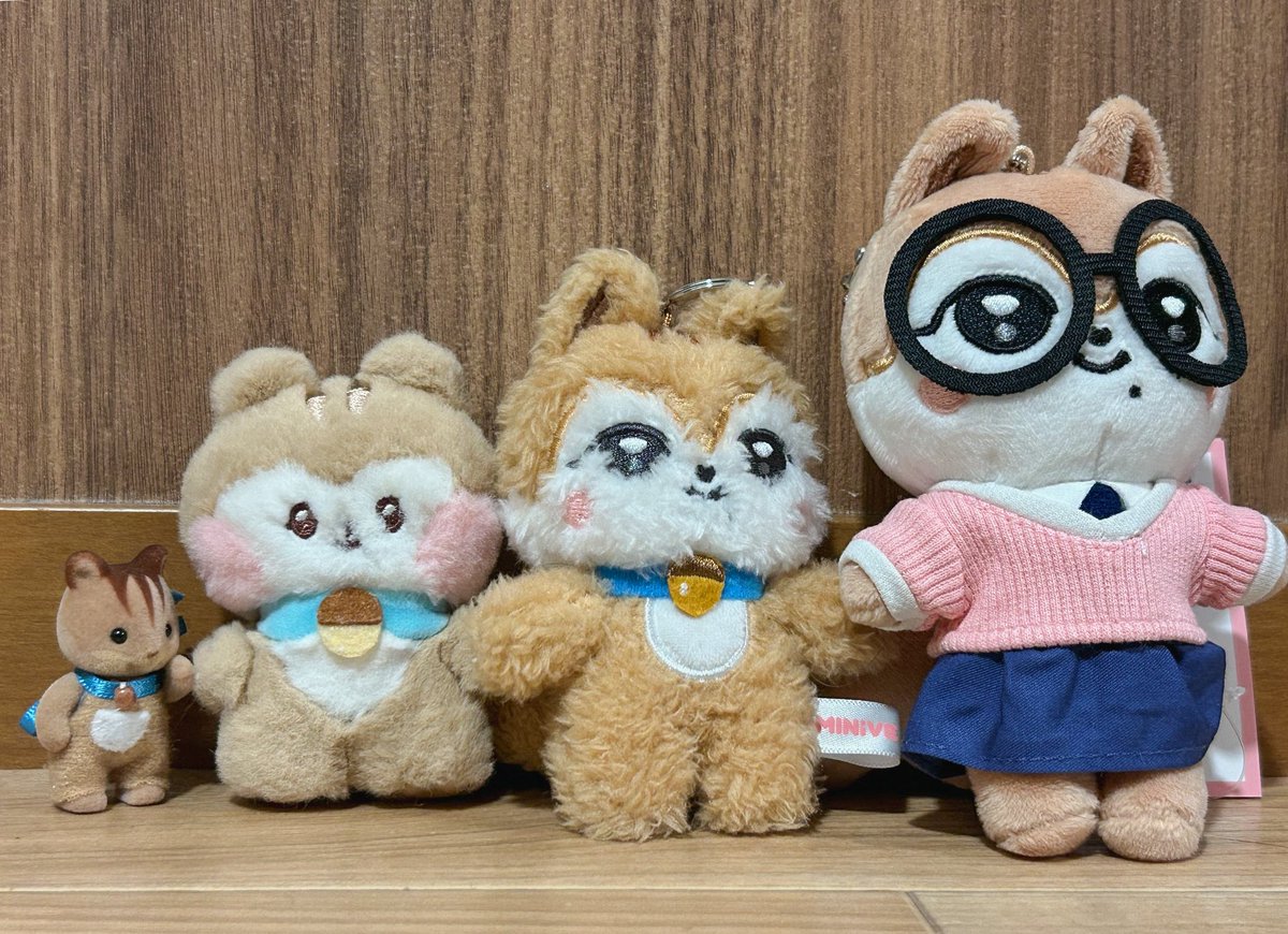 ✨🐿️🐿️🐿️🐿️✨／