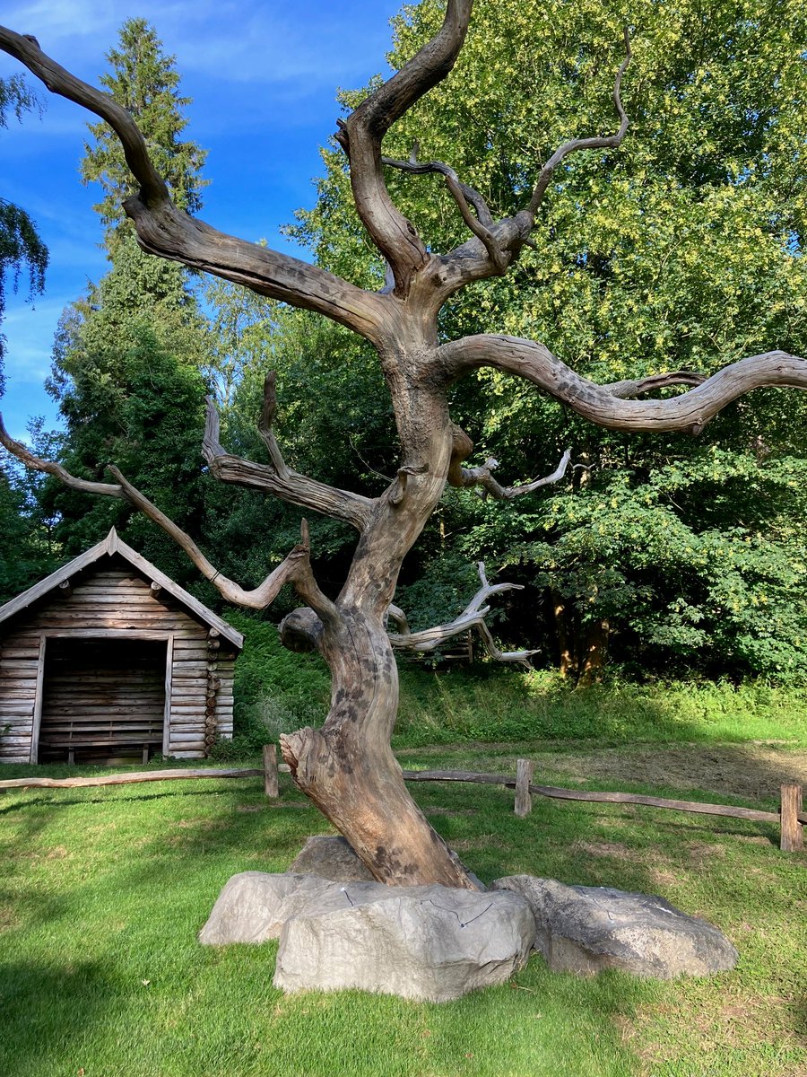 Photo documentation of Geraldine Pilgrim's

Tattoo (2023)

Part of Rooted Festival Kew, Wakehurst

Link in the bio for more info and other projects!

#site_specific #sitespecific #sitespecificart #sitespecificinstallation