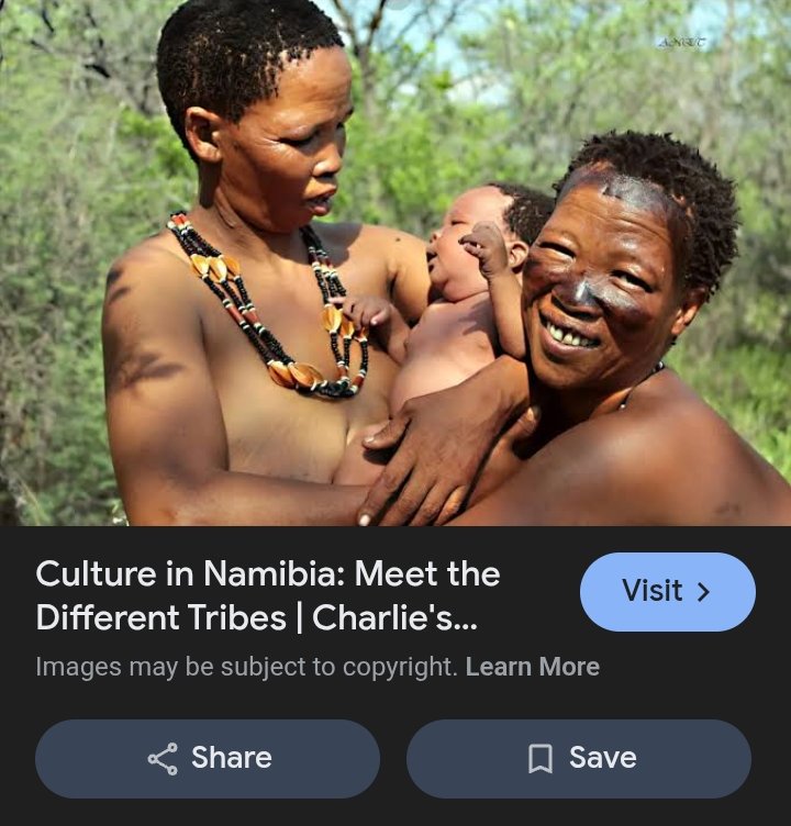 Tamiz Dan tweet media