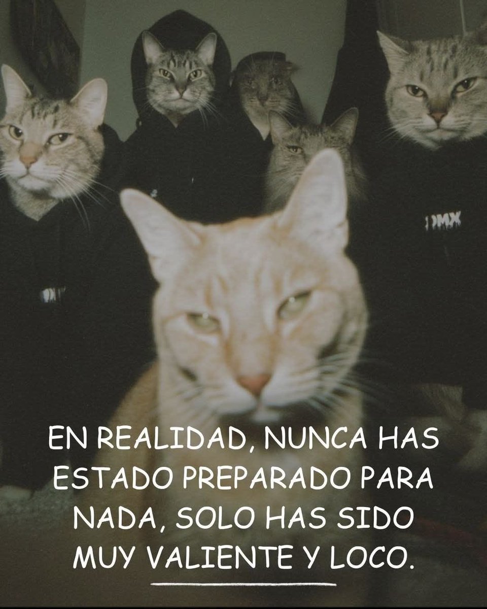 HOMBRES tweet media
