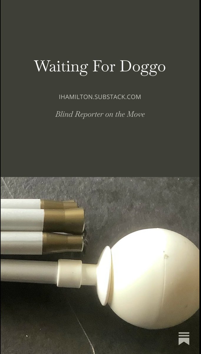 Ian Hamilton tweet media