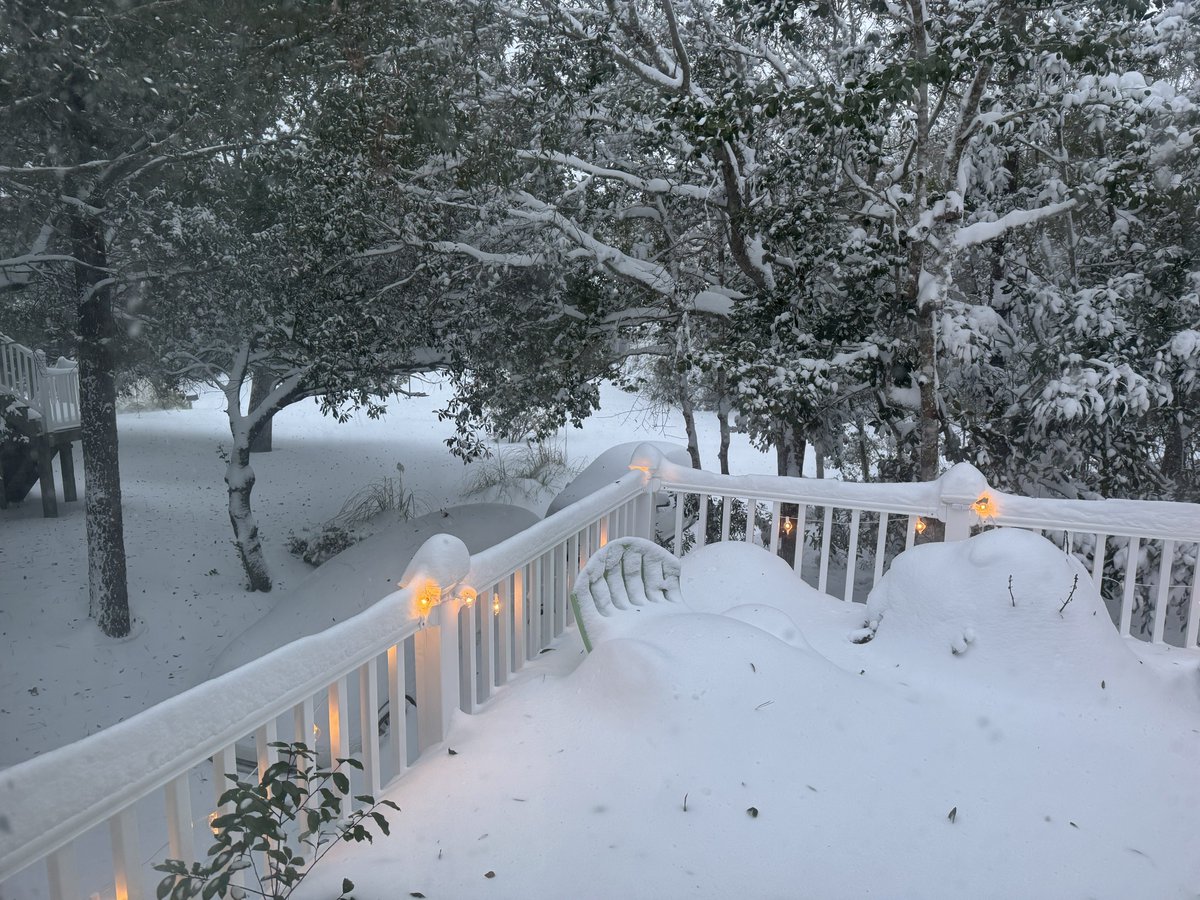 Todd McLean tweet media