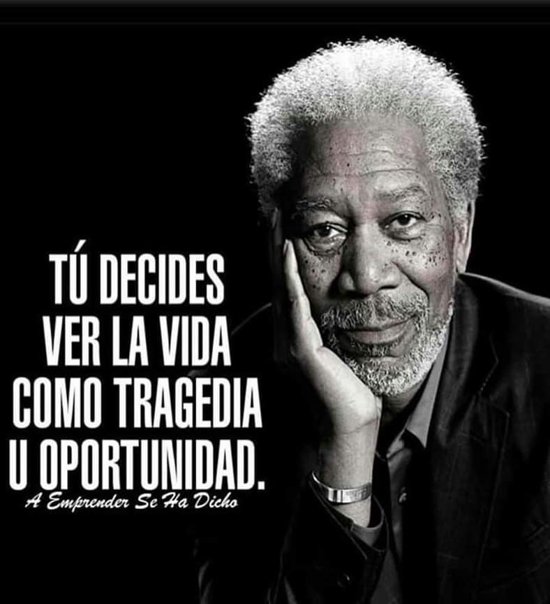 FRASE DEL DIA.