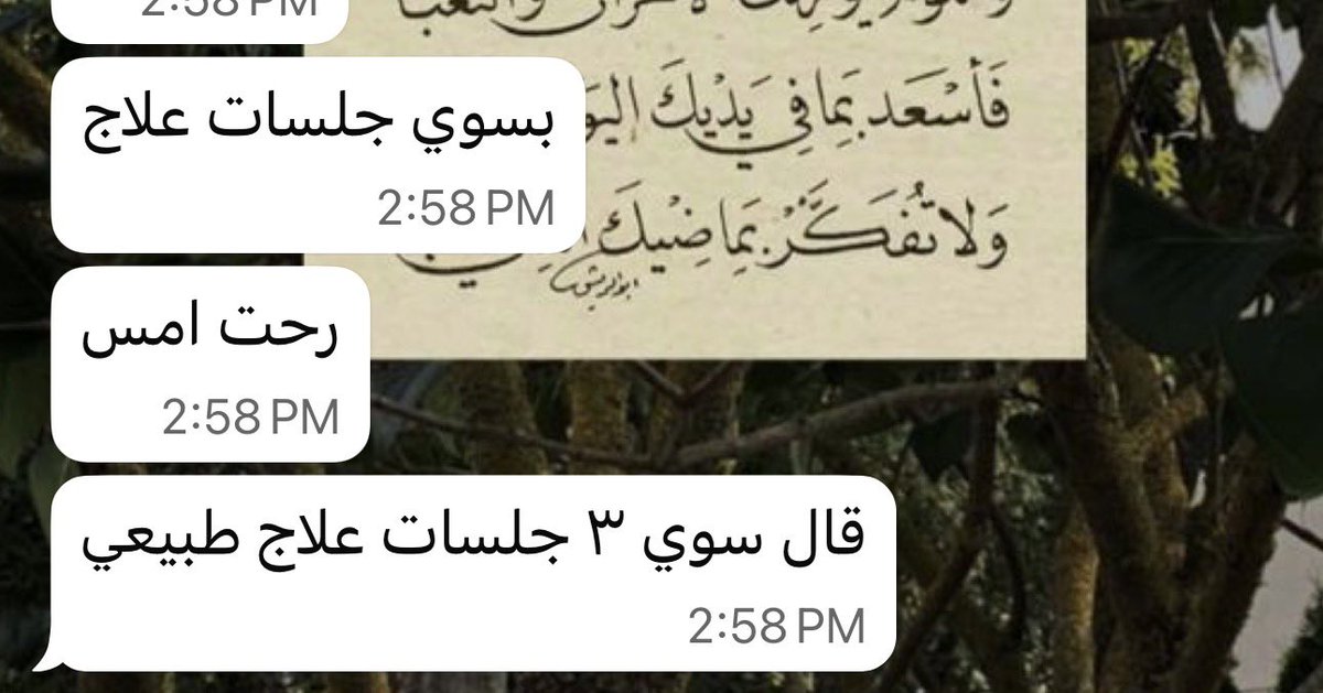 DPT Nouf Alotaibi tweet media