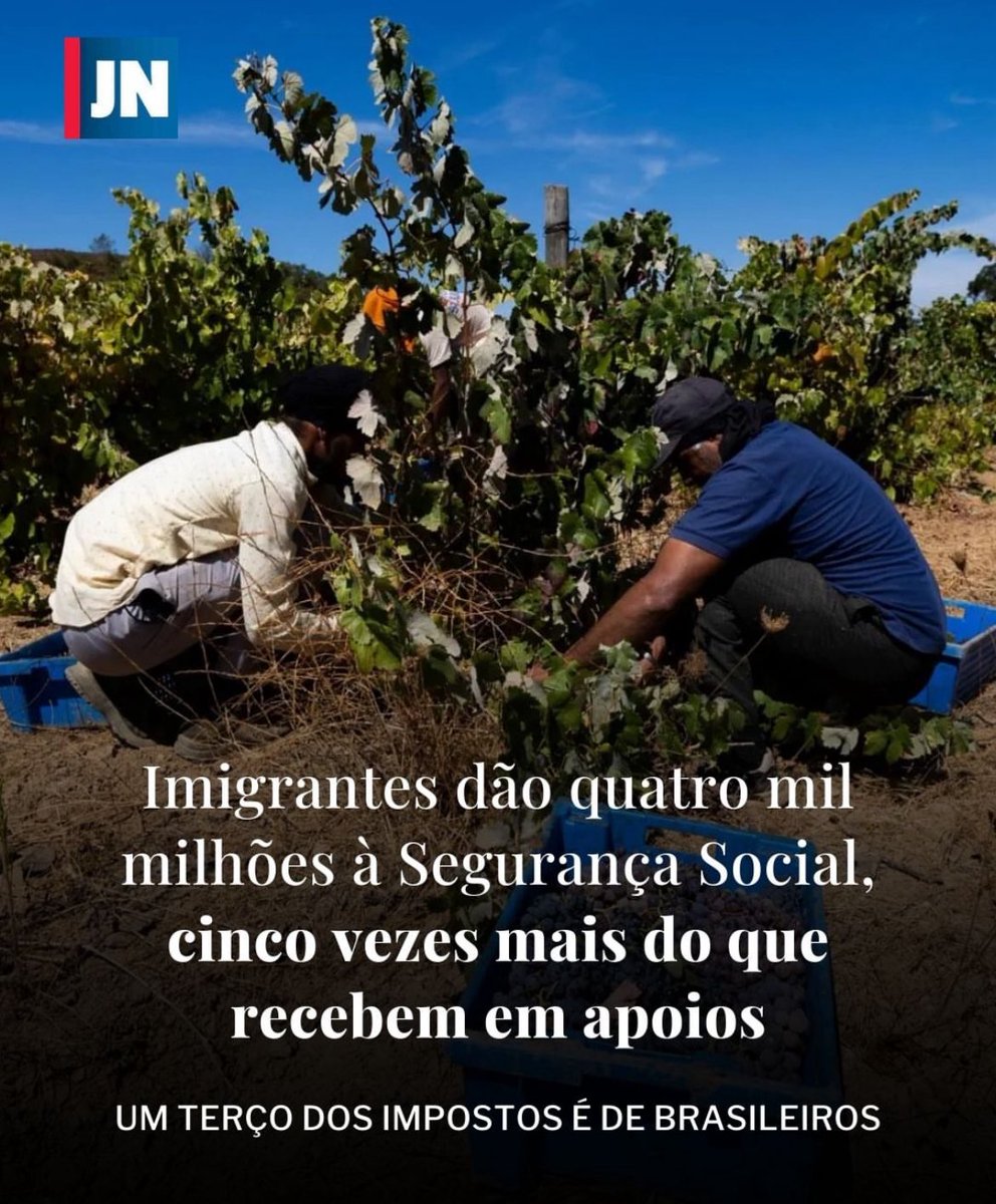 Inês Moreira dos Santos tweet media