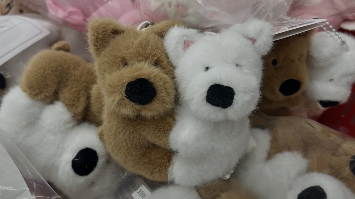 2l0per's tweet image. 와 다이소에서 진짜 귀여운 인형 판다..