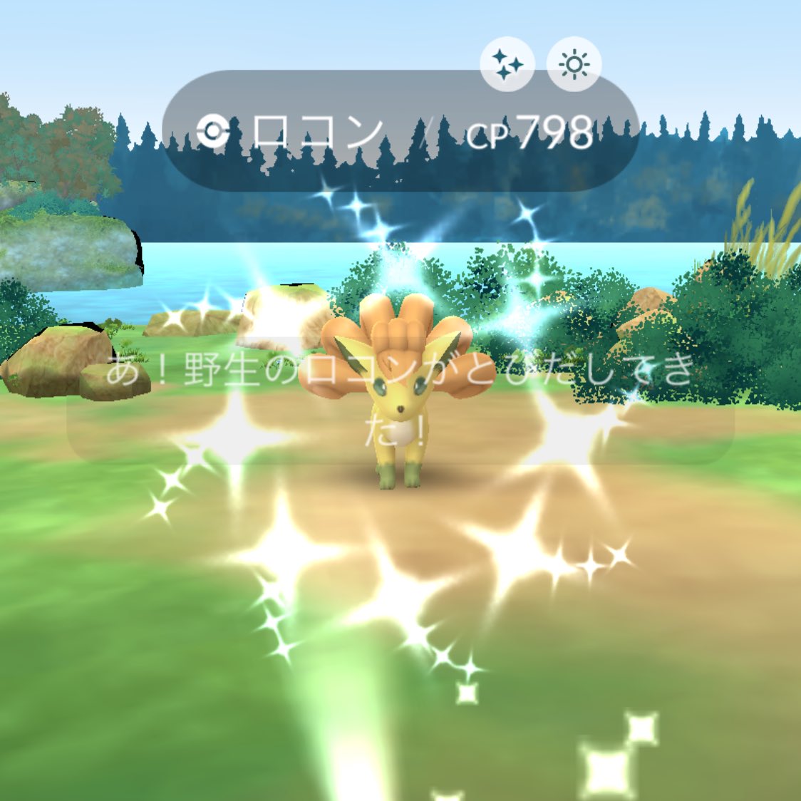 あらあら@低浮上 tweet media