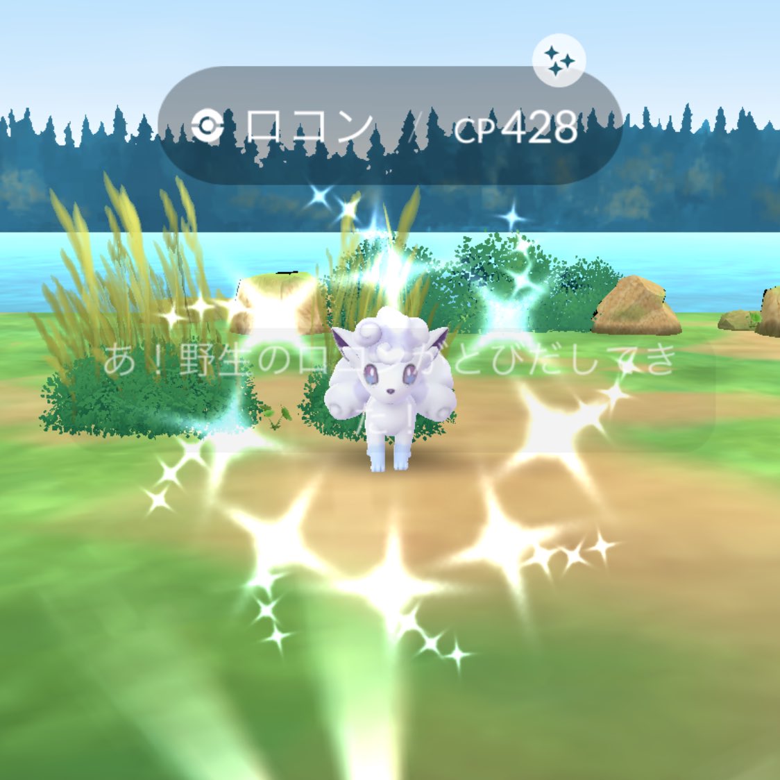 あらあら@低浮上 tweet media