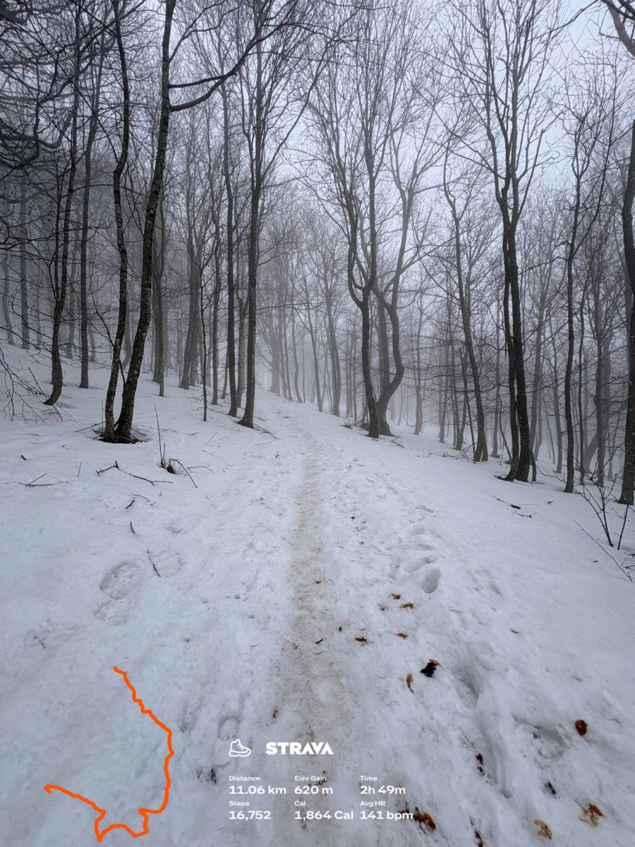 Renato Fajdiga tweet media