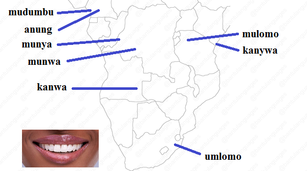 Bantu Languages tweet media