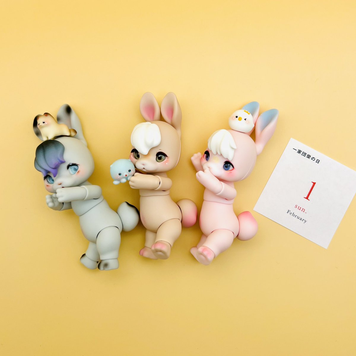 🐰🐰🐰✨
#kumukuku