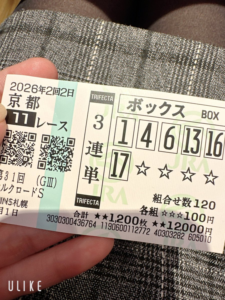 そういえば、今日シルクロードS買ってたんですけど、2着3着4着6着当て