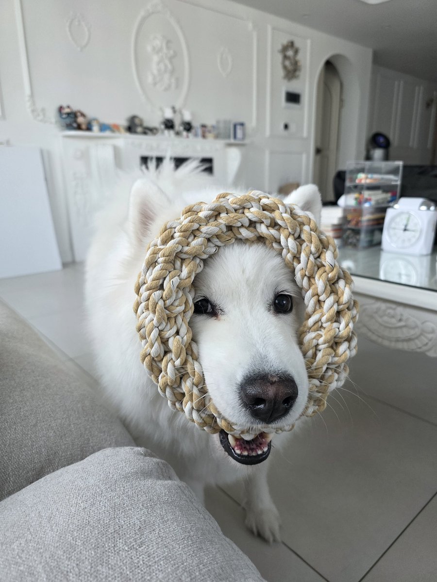 초승달 tweet media