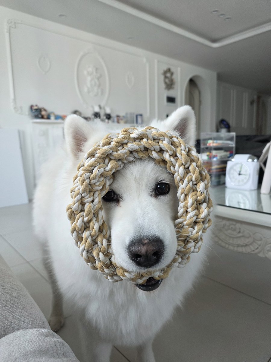 초승달 tweet media