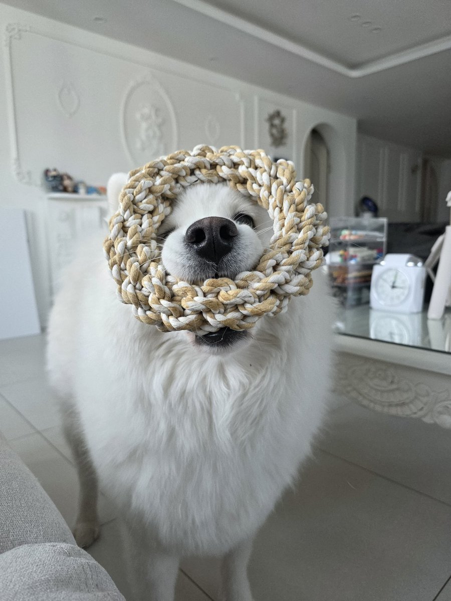 초승달 tweet media