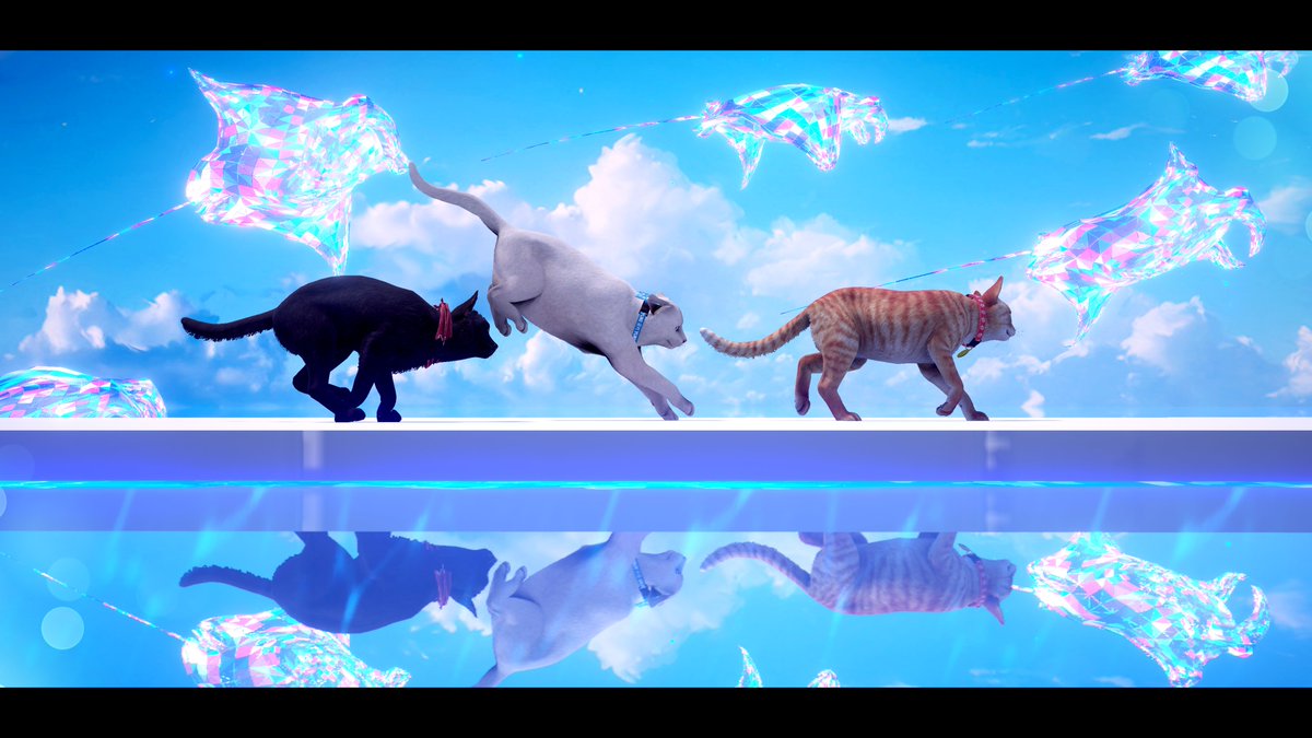 VRCFins's tweet image. Here are some of the pictures that I submitted for a photography showcase last year.

If you have visited my works in the past, you probably have stumbled upon some of these cats before.

Their names are Yuki (white), Ash(Black), and Eggy(Orange).

While Ash and Yuki are the