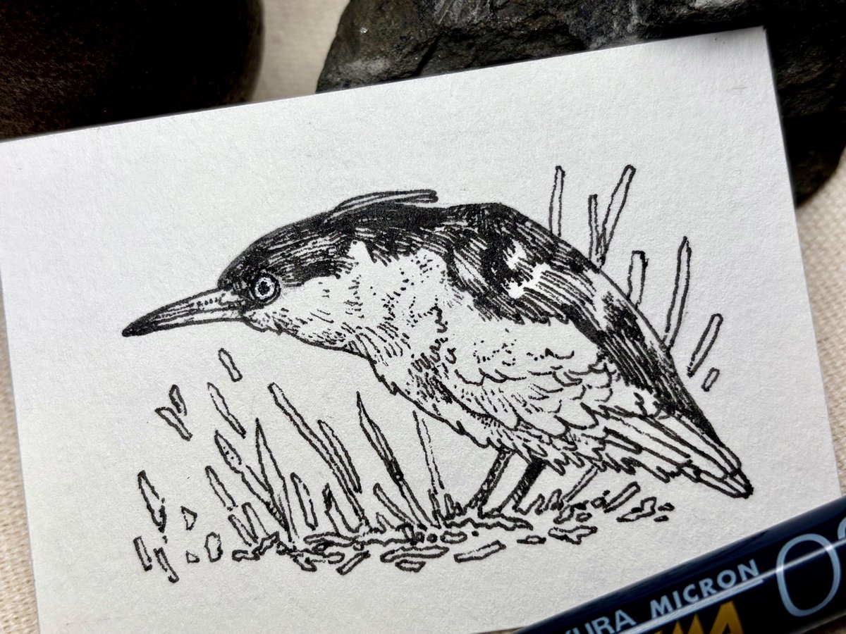 缶古鳥 2/8原画市 (@torinokanzume) / Posts / X