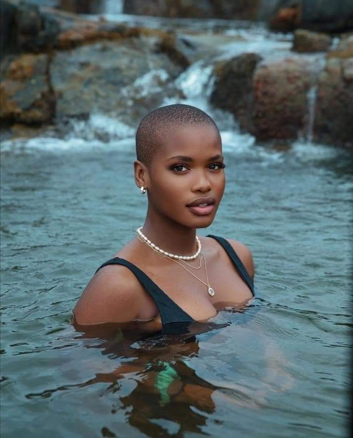 Zoom Afrika tweet media