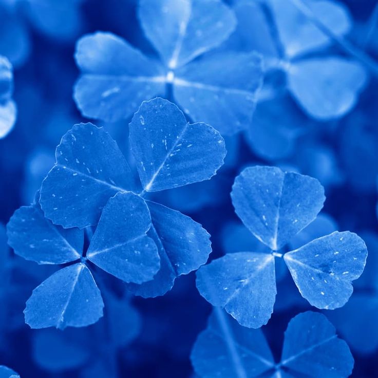 Dr. Splashy • 🫧🪼 tweet media