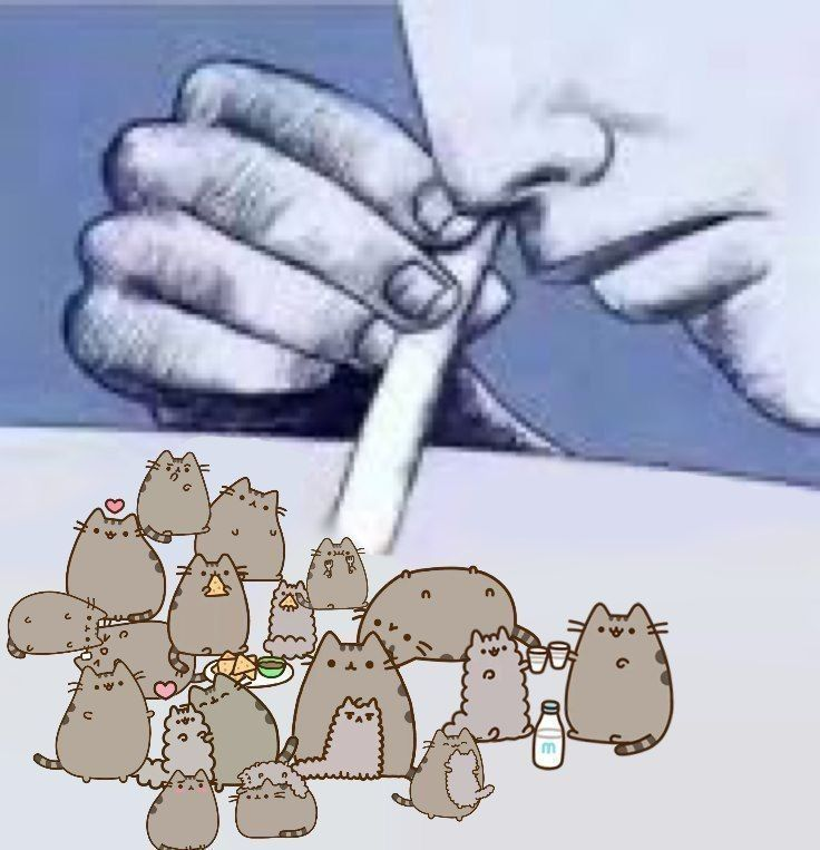 cinnamqn_doll's tweet image. 