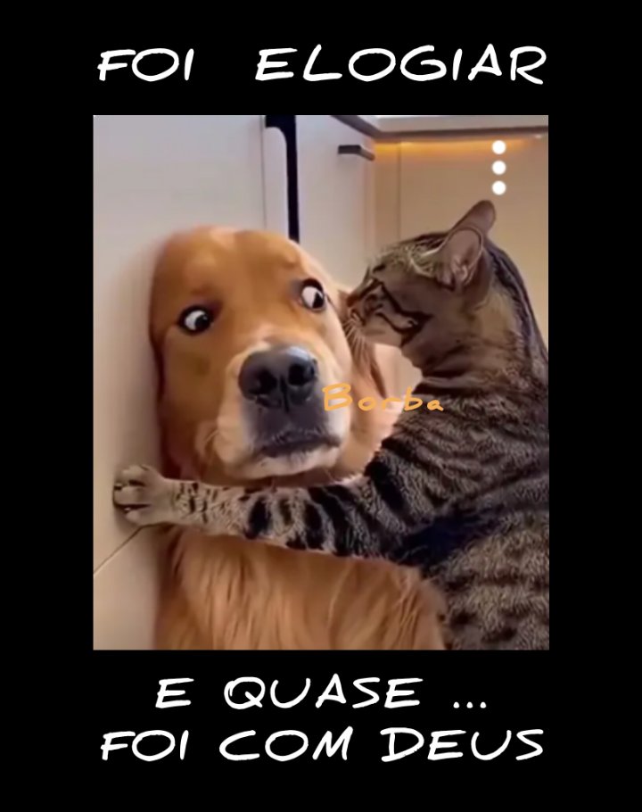 BorbadeBorba2's tweet photo. https://t.co/Qg9aBrqkWp

https://t.co/VXzz9PShDP

https://t.co/vwkxBaBDkA https://t.co/CdIkDqHGob