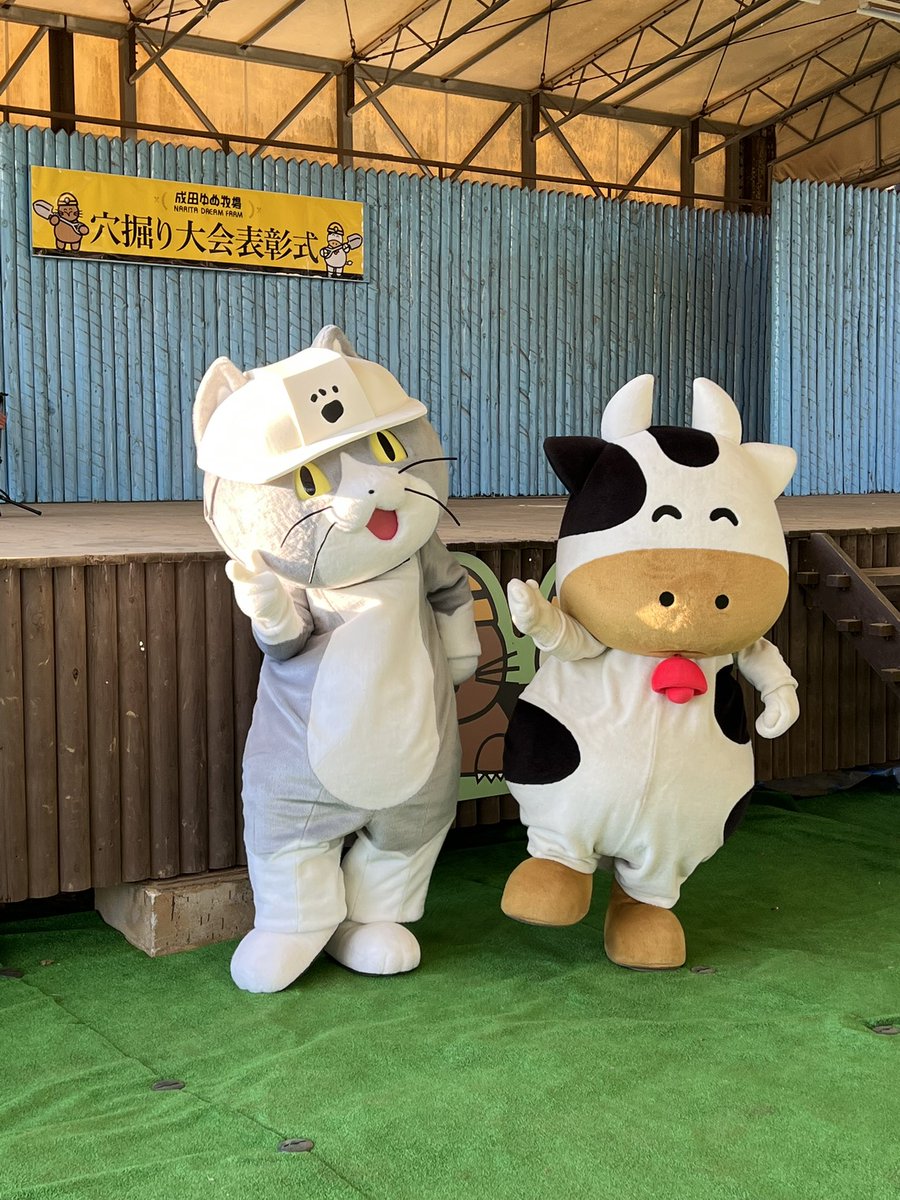 シュレーディンガーの猫缶 🐣 (@sdg_NEKOKAN) / Posts / X