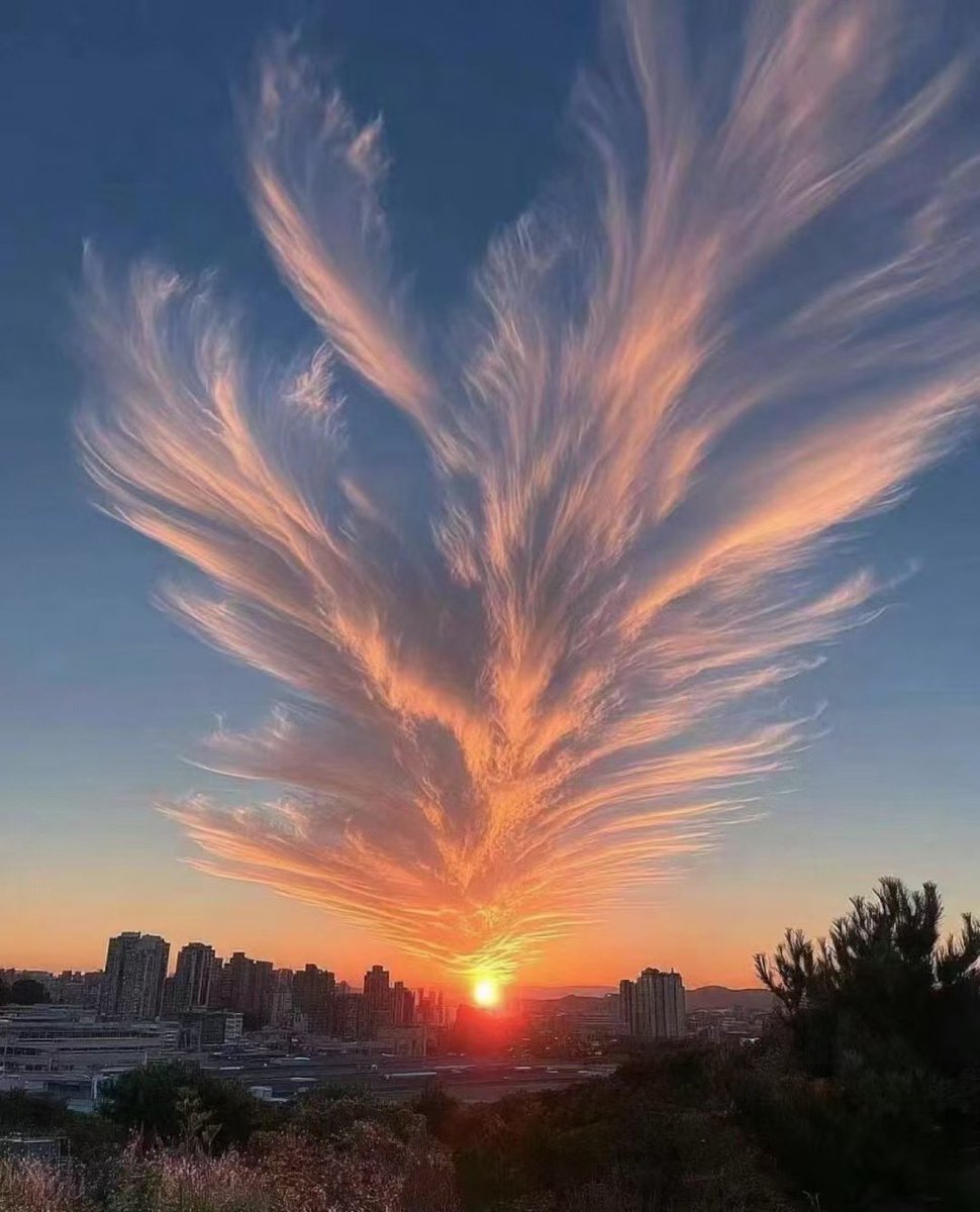 xooool's tweet image. 下周二三 有没有在深圳可以聚聚的 fq 或者 ql #交换 #多人派對