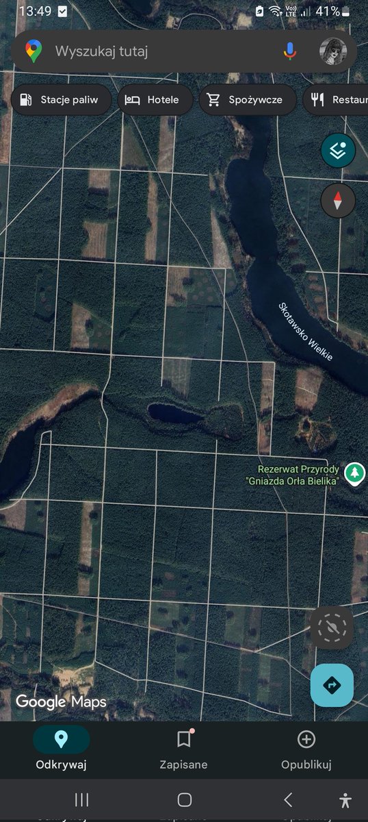 Cate / CT-7056 | COMISSIONS OPEN! tweet media