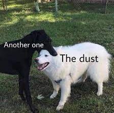 Joe Findlay-Bada tweet media