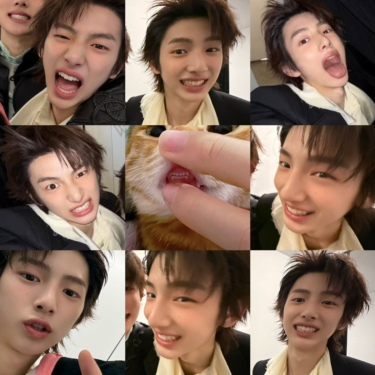 happyinapril's tweet image. เหมียวฟันน้ำนม😺