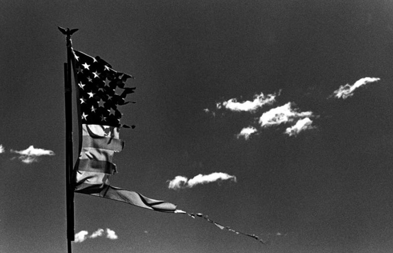 Rafel Pino tweet media