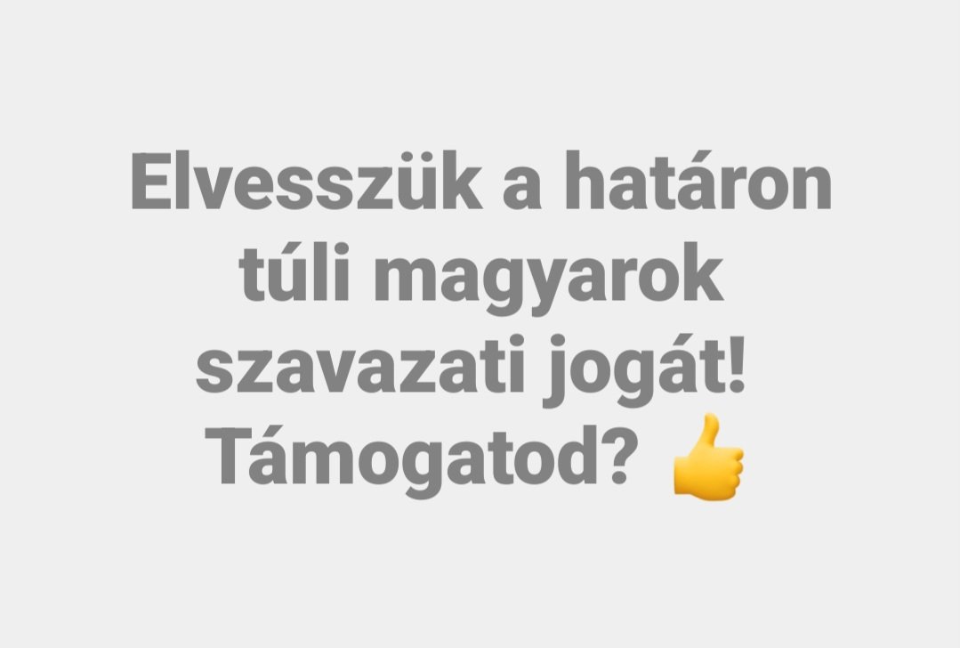 Seppy tweet media
