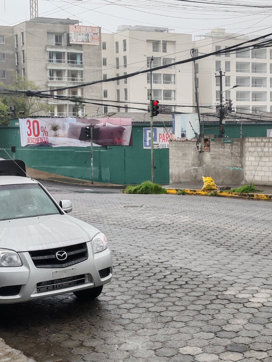 edurobayo7's tweet image. Hola señores @EmAseoQuito reportamos que esta mañana amanecimos con un perrito sin vida en la esquina de la Av. Las Palmeras y Madroños frente a la farmacia Sana Sana. Por favor si nos pueden ayudar pronto. #QuitoNorte