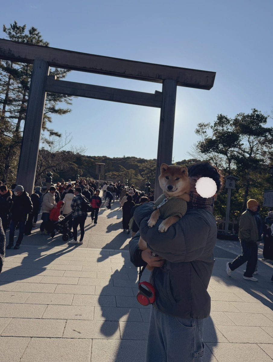 たろ🐶 tweet media