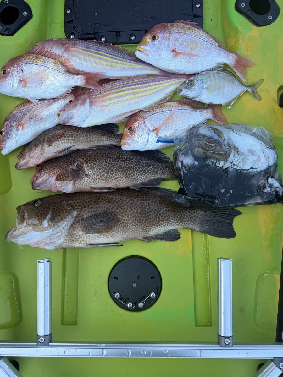 coco0886's tweet photo. 今週の食材探し
今回こそはさかな釣りたい
ってことで、今年初の場所へ
まあまあ厳しかったけど、最後にオオモン
釣れてくれた
身はしばらく寝かせてから食べる
アラは一週間炊いてラーメンダシ😋 https://t.co/eaU2z8y1Kz